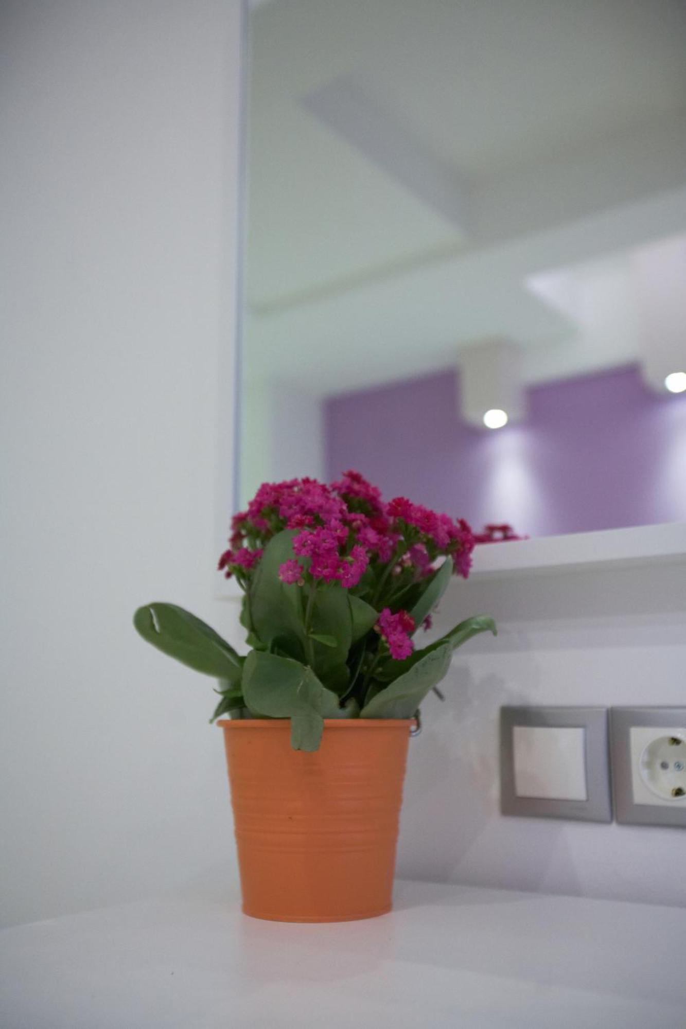 Ammos Beach Glifa  Room photo